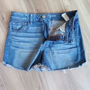 American Eagle Outfitters Blue Jean Shorts